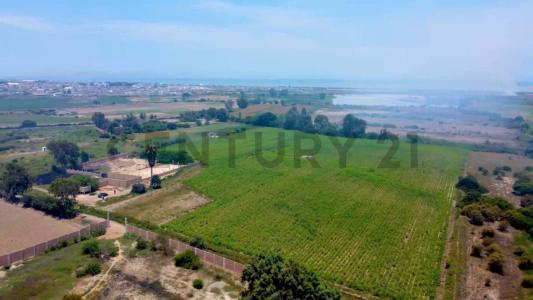 FUNDO OLIVAR , Pisco, Ica 00001, Peru