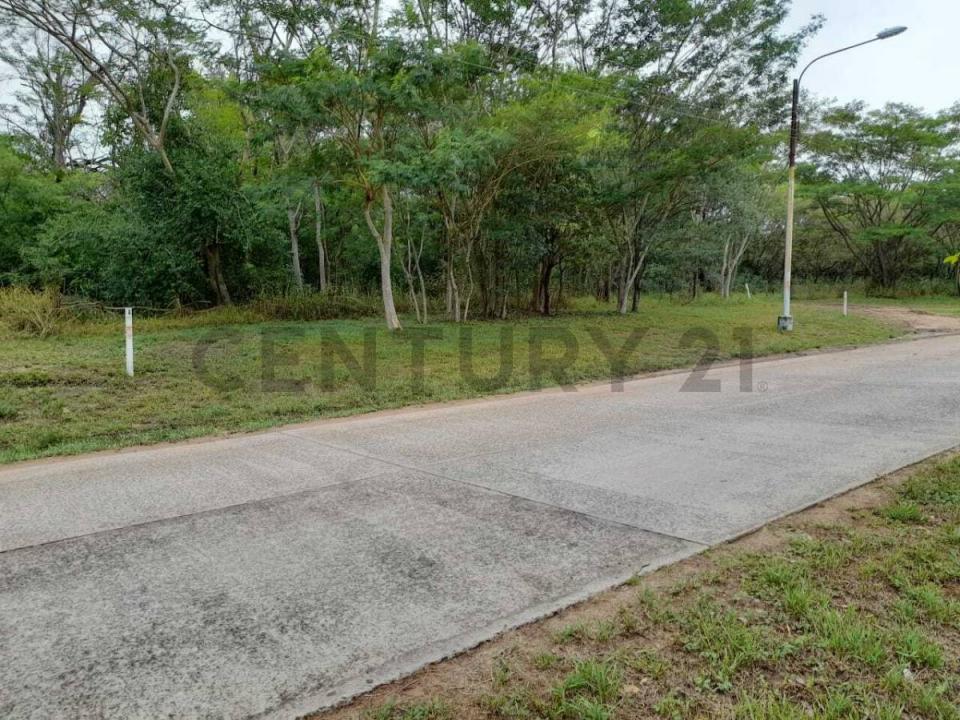 Surubií , Mariano Roque Alonso, Central 00001, Paraguay