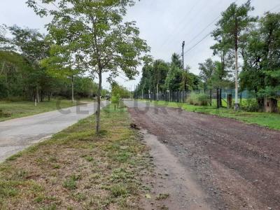 Surubií , Mariano Roque Alonso, Central 00001, Paraguay