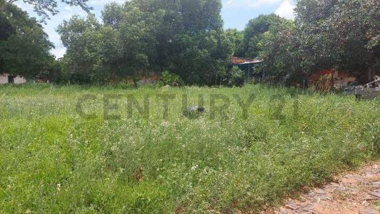 Carlos Marti casi Yburapyta , Ñemby, Merkezi 00001, Paraguay