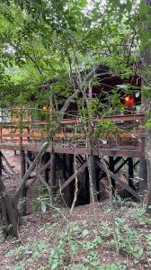 Surubi'i , Mariano Roque Alonso, Central 00001, Paraguay