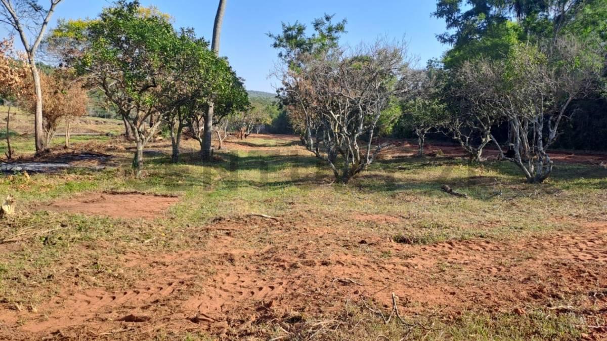 ytu pora , Pirebebuy, Cordillera 00001, Paraguay