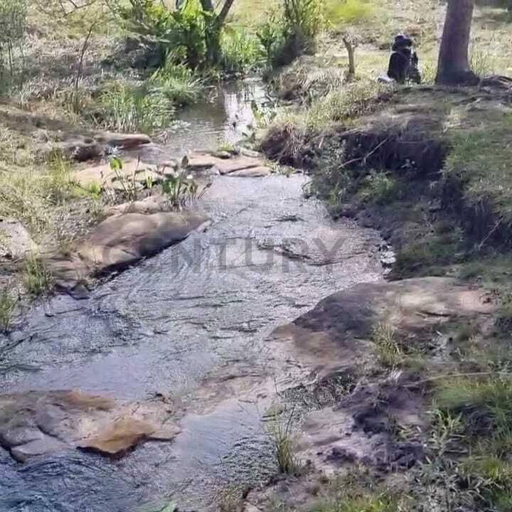 ytu pora , Pirebebuy, Cordillera 00001, Paraguay
