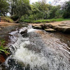 ytu pora , Pirebebuy, Cordillera 00001, Paragwaj