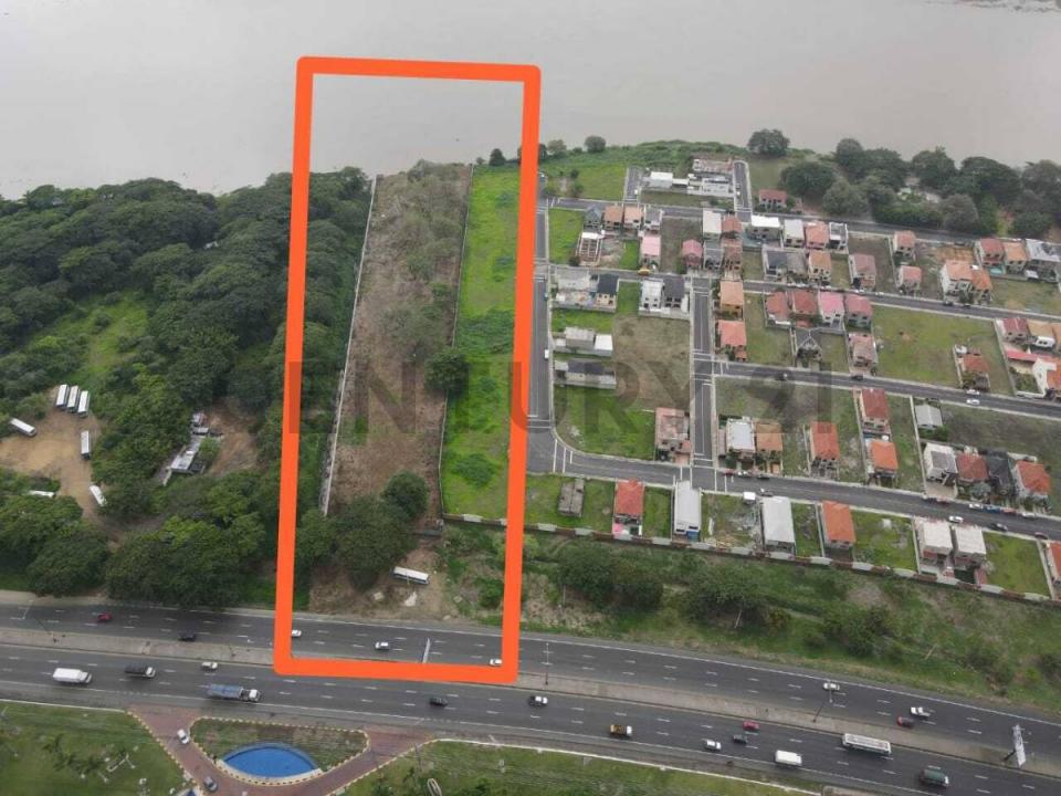 Daule, Guayas 00001, 에쿠아도르