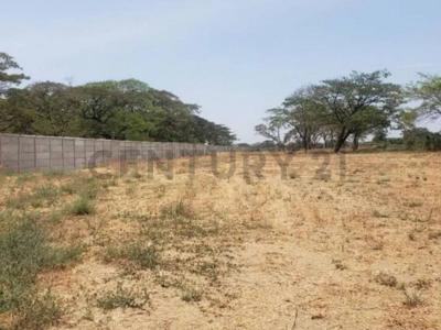 Daule, Guayas 00001, 에쿠아도르