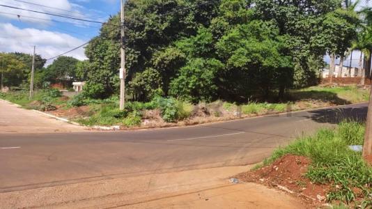 Avda Defensores del Chaco entre padre cardozo y avda capitan del puerto , Ciudad Del Este, Alto Paraná 00001, Paragwaj