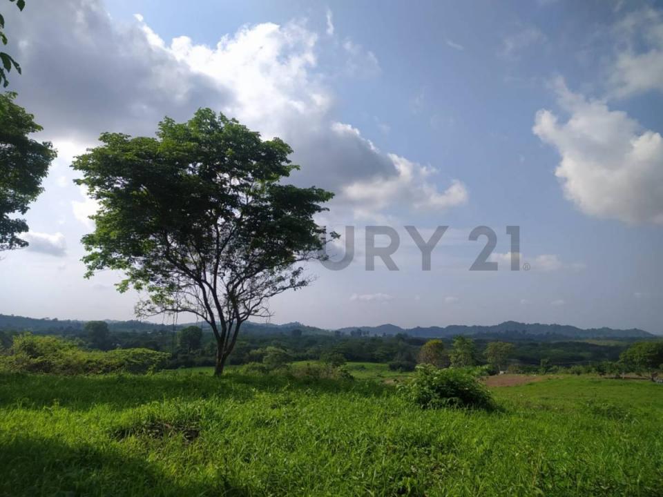 Guayaquil, Guayas 00001, Ecuador