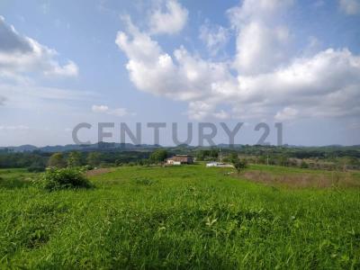 Guayaquil, Guayas 00001, Ecuador