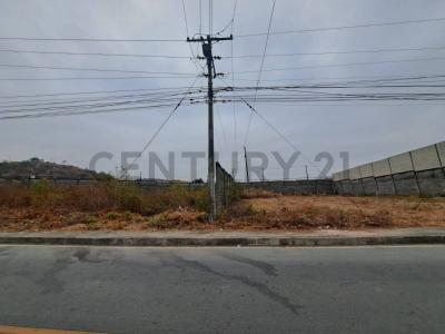 Daule, Guayas 00001, Ecuador