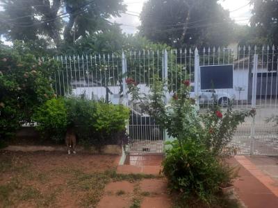 Campo via 1885 c/ Cassanelo , San Vicente, Asunción 00001, パラグアイ