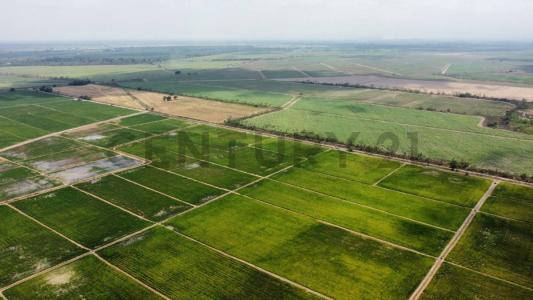 El Triunfo, Guayas 00001, 厄瓜多尔