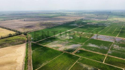 El Triunfo, Guayas 00001, 厄瓜多尔