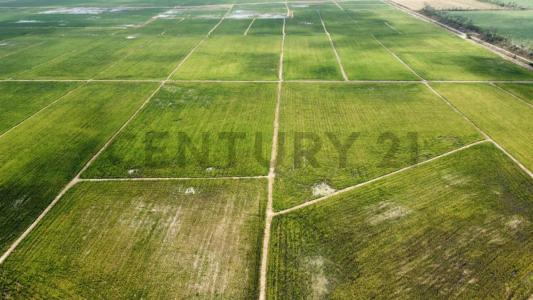 El Triunfo, Guayas 00001, 厄瓜多尔