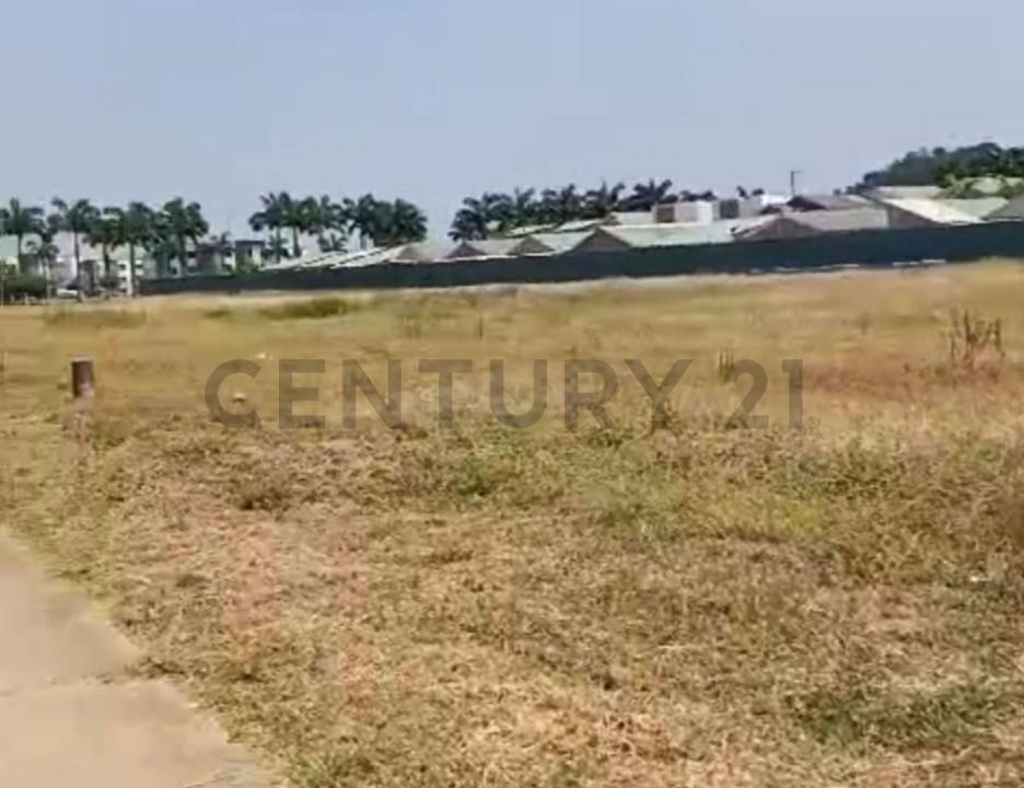 Daule, Guayas 00001, אקוודור