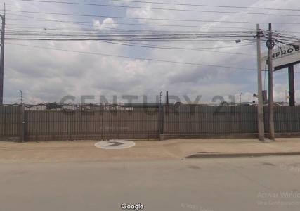 Daule, Guayas 00001, Equateur