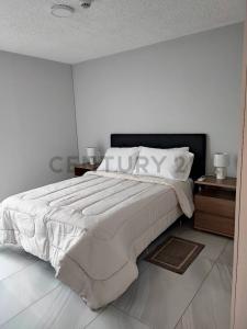 Complejo Altamira Surubii , Mariano Roque Alonso, 중앙 00001, 파라과이