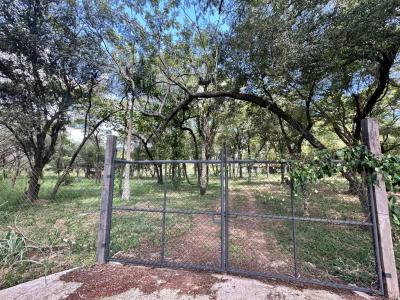 Espinillo, surubi'i , Las Mercedes, Asunción 00001, Paraguay