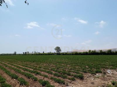 Cañete, Lima 00001, Перу