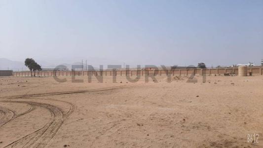 Cañete, Lima 00001, Peru