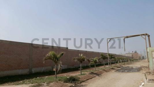 Cañete, Lima 00001, Peru