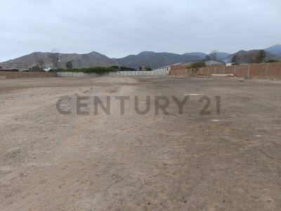 Cañete, Lima 00001, ペルー