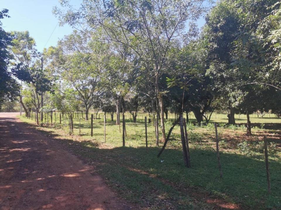 Py 02 Ruta Mcal Estigarribia , Itacurubí De La Cordillera, Cordillera 00001, פרגוואי