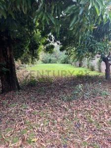 Juan Pablo II c/ 6 de Enero , Ñemby, Merkezi 00001, Paraguay