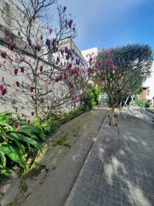 Prado, Montevideo 11700, Urugwaj