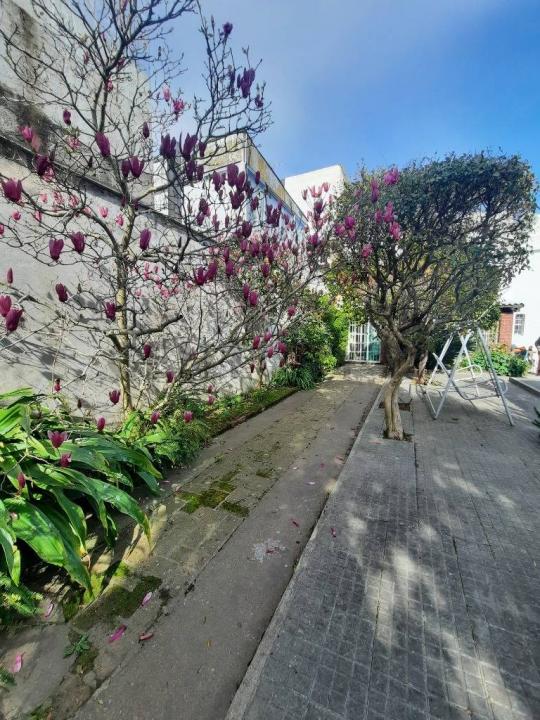 Prado, Montevideo 11700, Uruguay