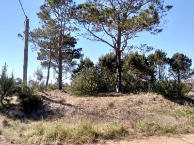 Punta Del Diablo, Rocha 00001, Urugwaj