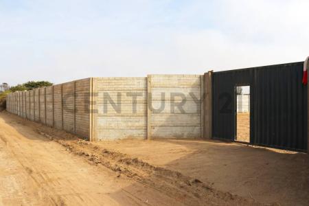 Cañete, Lima 00001, Peru