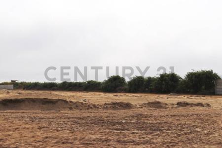 Cañete, Lima 00001, Peru