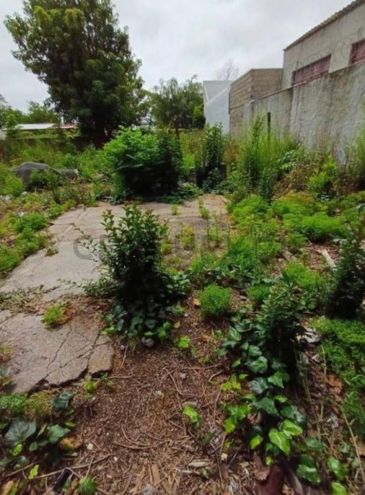 Prado, Montevideo 00001, 우루과이