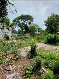 Prado, Montevideo 00001, Uruguay