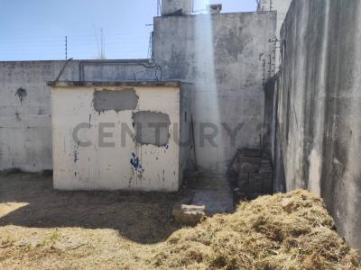 Thompson , La Blanqueada, Montevideo 00001, ウルグアイ