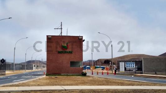 Cañete, Lima 00001, 秘魯