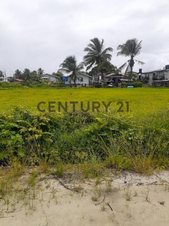 Blankenburg , Demerara, Guyana