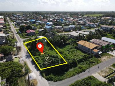 Westminister West Bank Demerara , Georgetown, Guyana