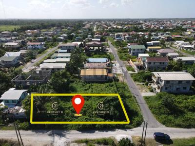 Westminister West Bank Demerara , Georgetown, Guyana