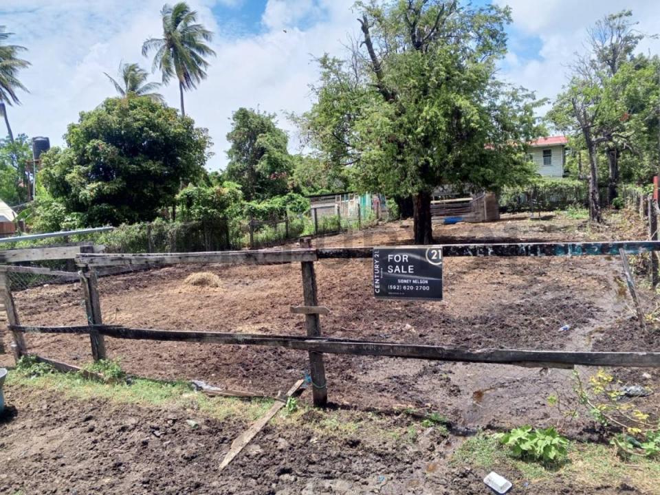 Rosehall , Georgetown, Guyana