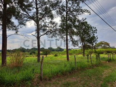Avenida Surubi-i y Avda Centenario , Mariano Roque Alonso, Central 00001, Paraguay