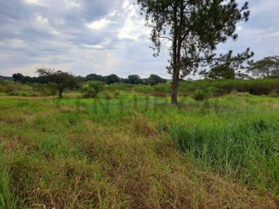 Avenida Surubi-i y Avda Centenario , Mariano Roque Alonso, Centralizzato 00001, Paraguay