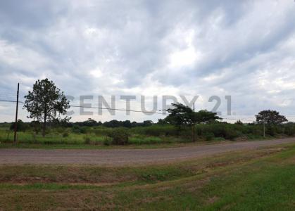 Avenida Surubi-i y Avda Centenario , Mariano Roque Alonso, Centralizzato 00001, Paraguay