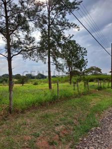 Avenida Surubi-i y Avda Centenario , Mariano Roque Alonso, Centralizzato 00001, Paraguay