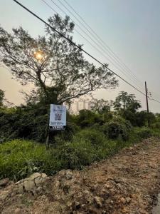 Avenida Surubi-i , Mariano Roque Alonso, Central 00001, Paraguay