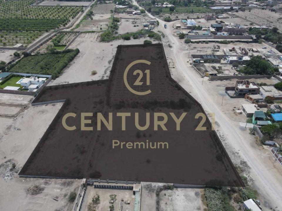 Chincha, Ica 00001, Peru