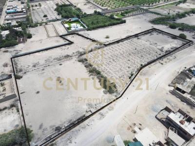 Chincha, Ica 00001, Peru