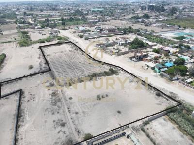 Chincha, Ica 00001, Peru