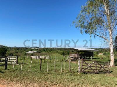 Cnel Martinez casi Fotografos del Chaco , Luque, Merkezi 00001, Paraguay